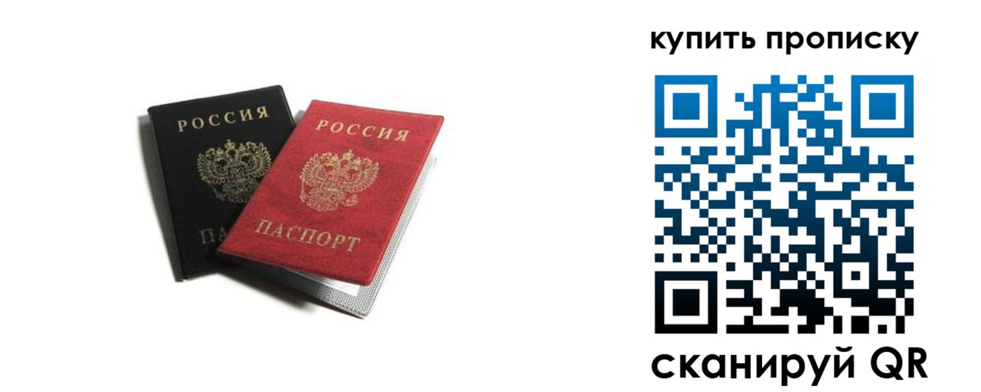 прописка штамп в Балтийске